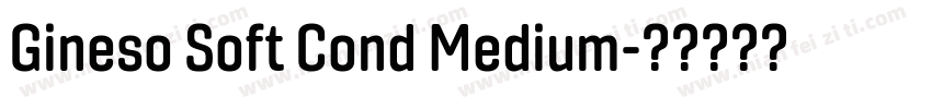 Gineso Soft Cond Medium字体转换